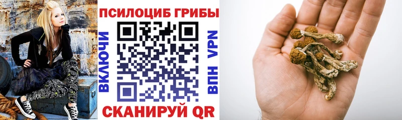 Псилоцибиновые грибы мухоморы  магазин  наркотиков  Новоаннинский 